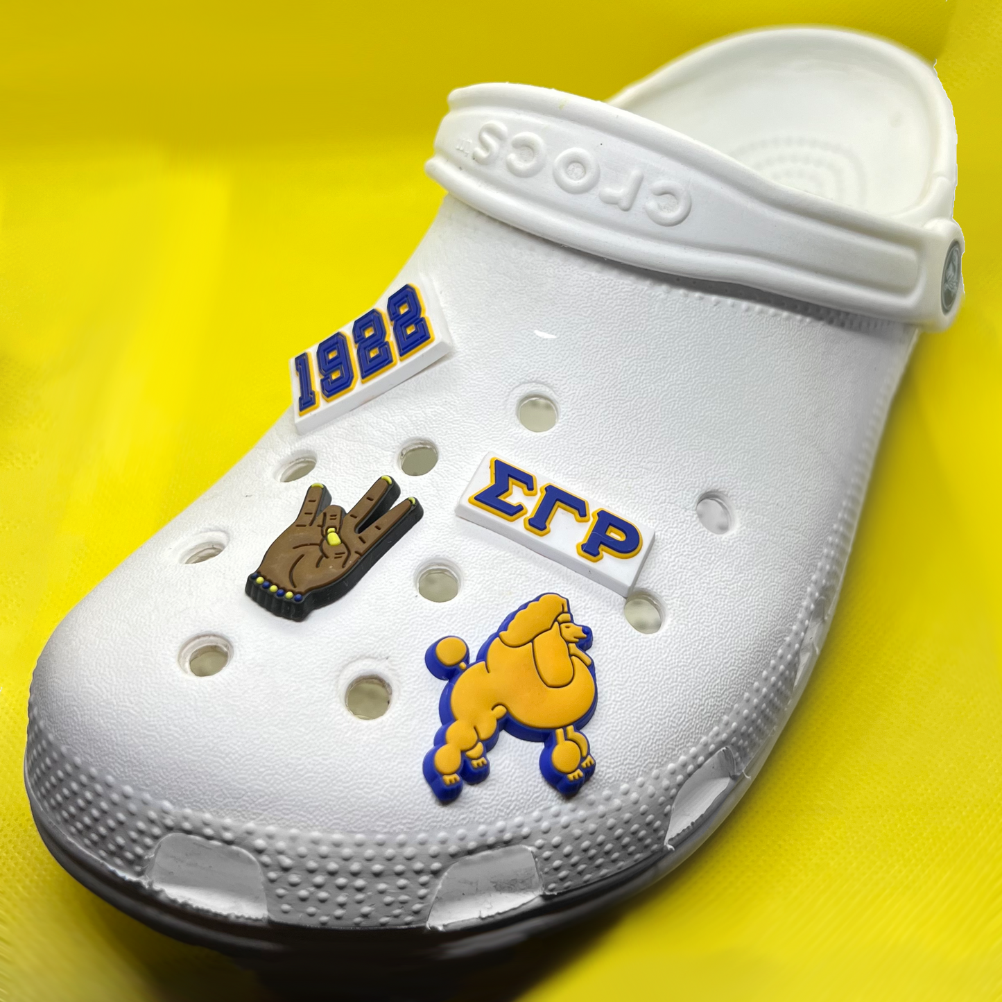 Sigma Gamma Rho Croc Charms